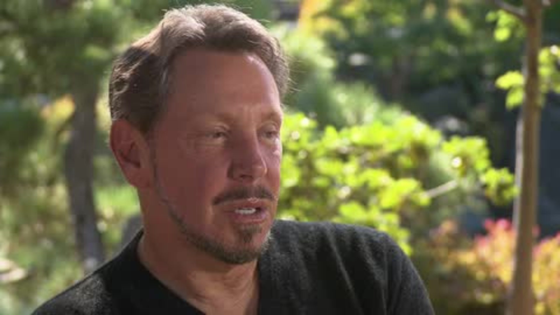 Lawrence Ellison